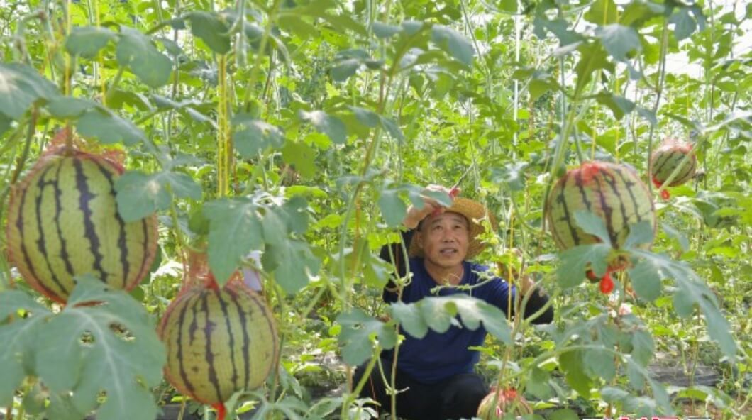 临沂兰山：激活红色新动能 铺就乡村幸福路